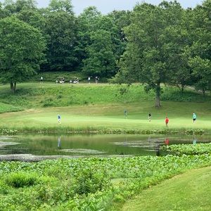 Meet your Posher, Terry